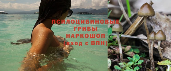 кокаин перу Богданович