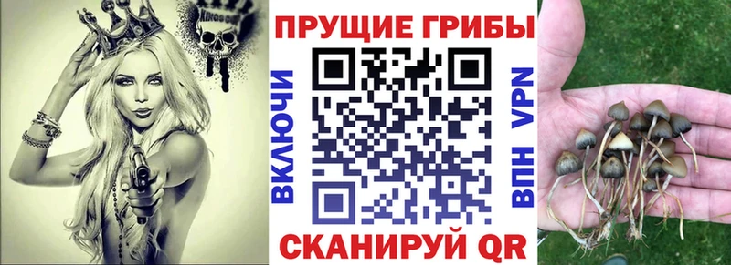Псилоцибиновые грибы прущие грибы  купить наркотик  MEGA ONION  Курильск 